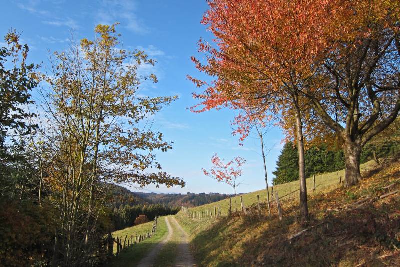Bild0004